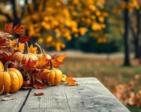 L'oree Des Champs Magny-Fouchard