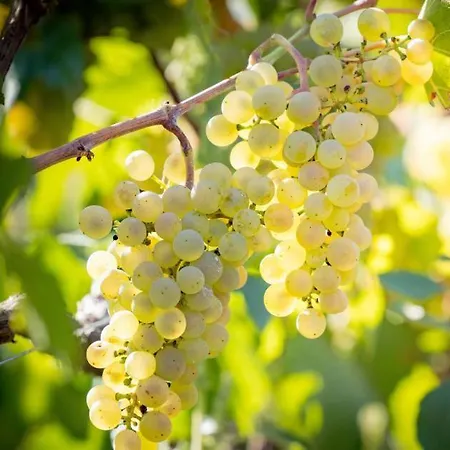 L'orée Des Champs Casa vacanze Magny-Fouchard