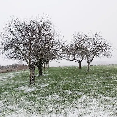 L'orée Des Champs Hébergement de vacances *