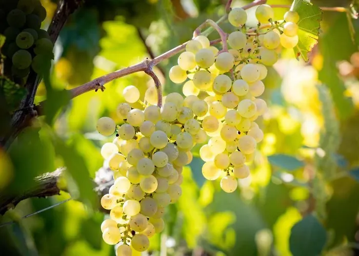 L'orée Des Champs Hébergement de vacances Magny-Fouchard