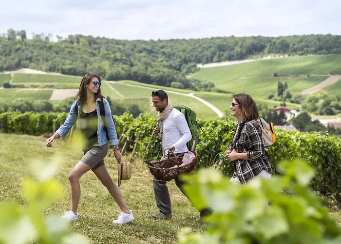 L'orée Des Champs Magny-Fouchard