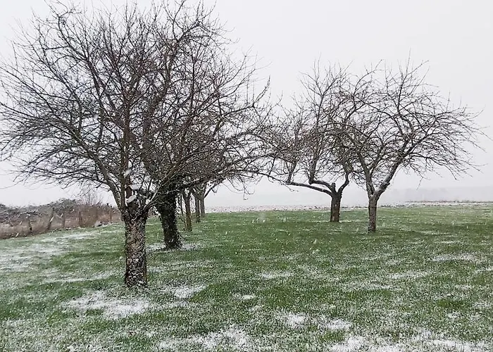 L'oree Des Champs Σπίτι διακοπών *
